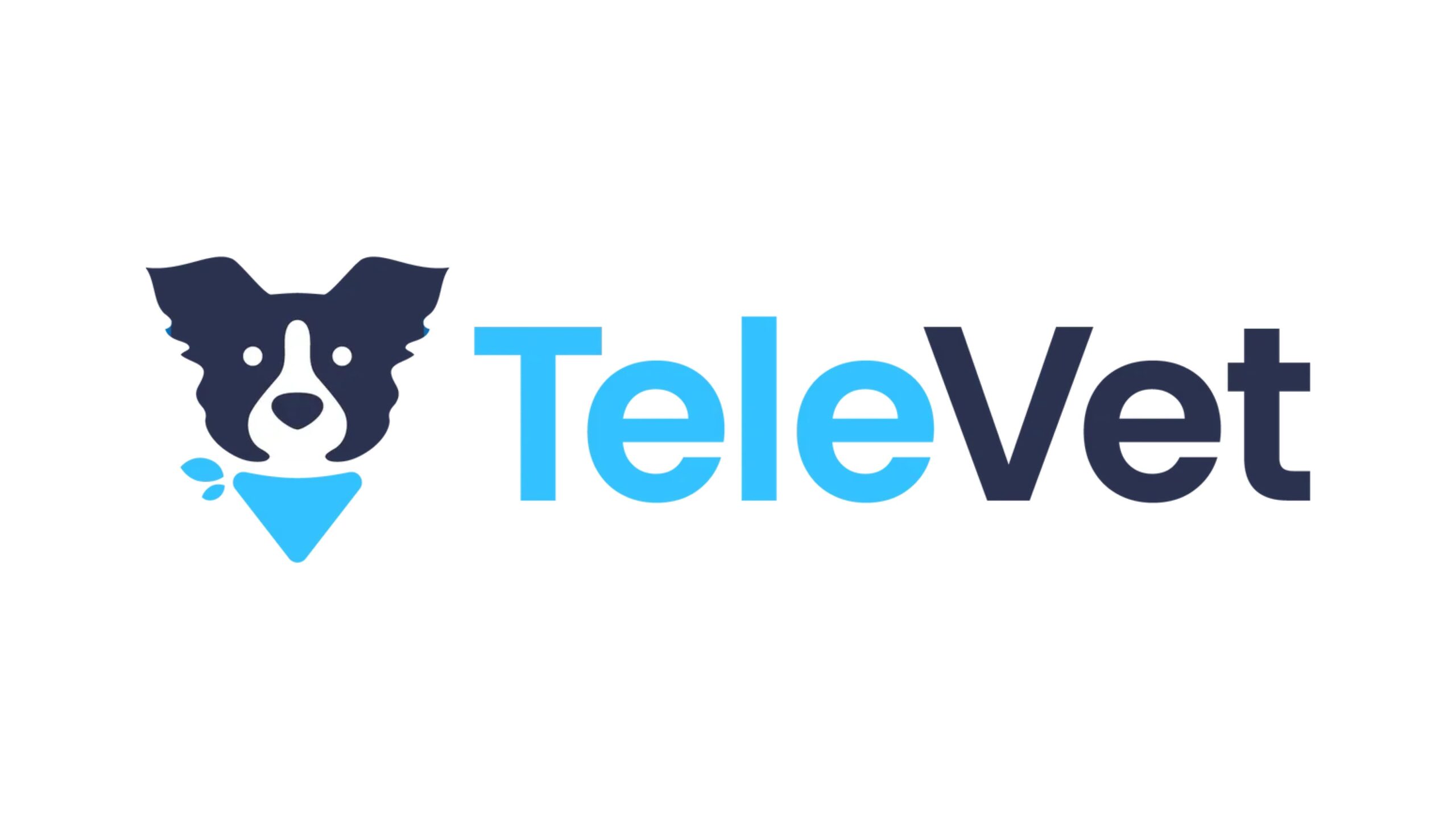 ベテリナリーソフトウェア企業TeleVetが4,300万ドルの資金調達を実施、Ottoに社名変更