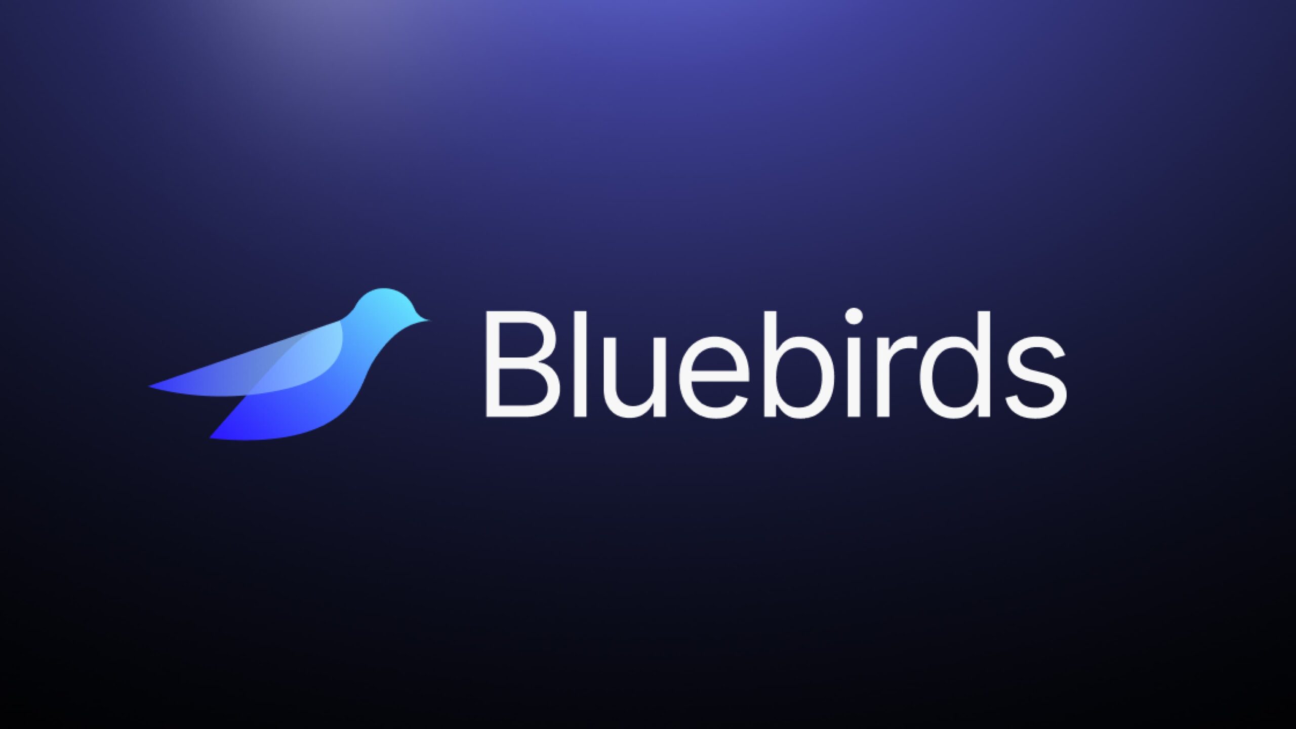 Bluebirds、「最高のリードを最初に見つける」営業AIで500万ドルを獲得