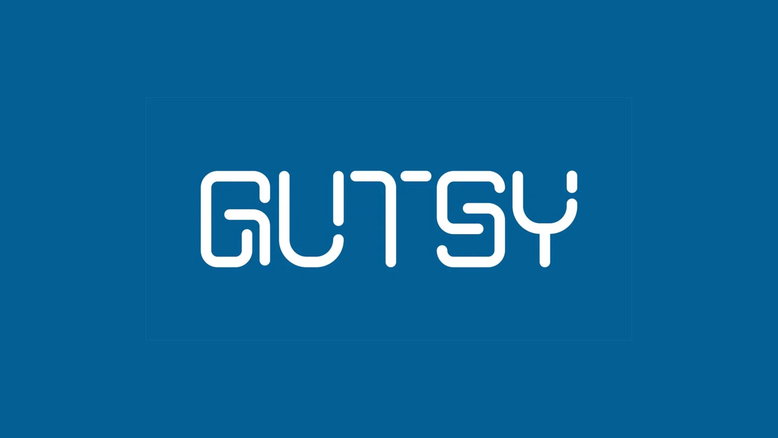 Gutsyが5,100万ドルのシードラウンドを獲得、サイバーセキュリティ業界で今年最大の額