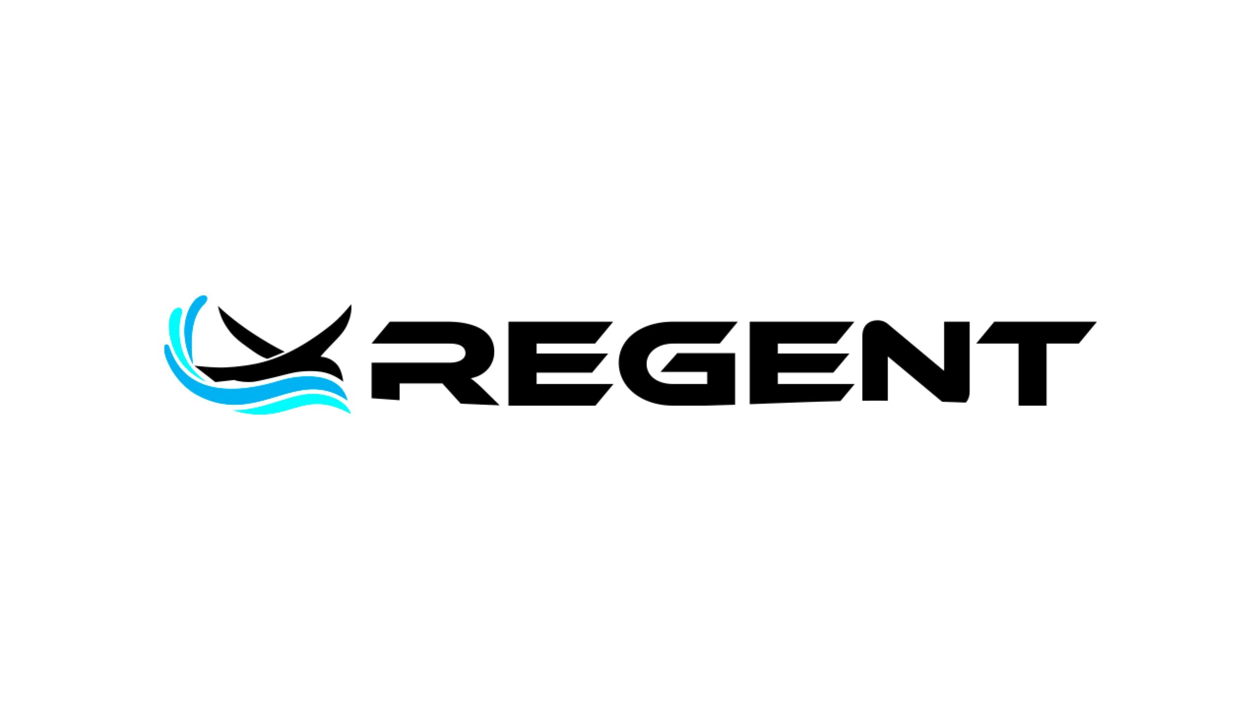 電動シーグライダーの新興企業Regent、6,000万ドルの新規資金調達で飛び立つ
