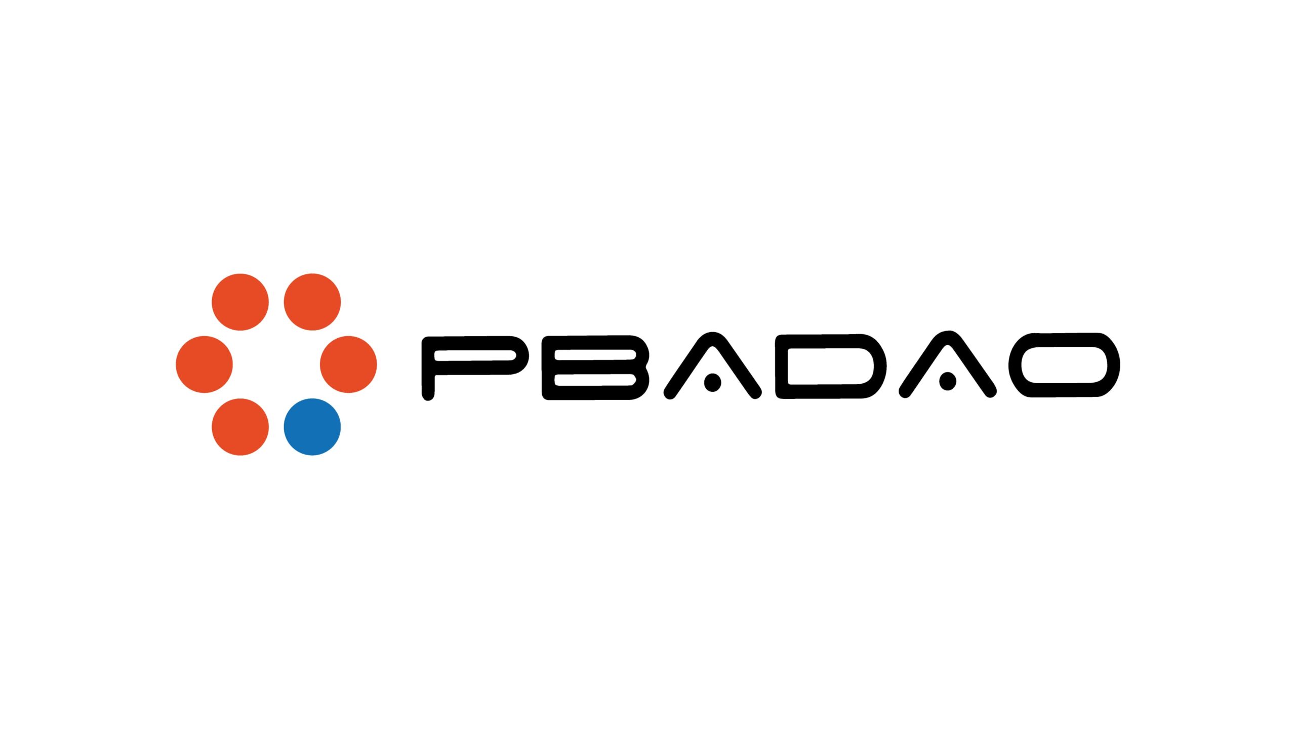 Web3事業を手掛けるPBADAOがシードラウンドにて1.7億円の資金調達