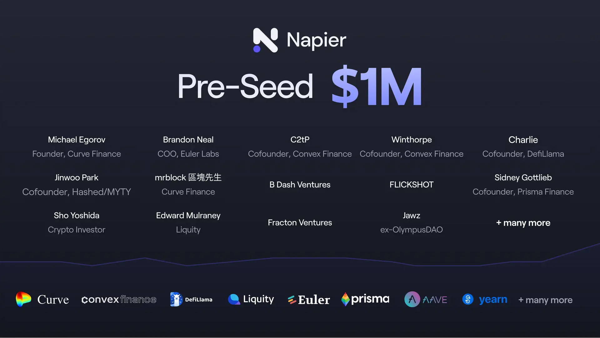 「Napier Finance」を開発する Napier Labs、プレシードラウンドで1.5億円の資金調達