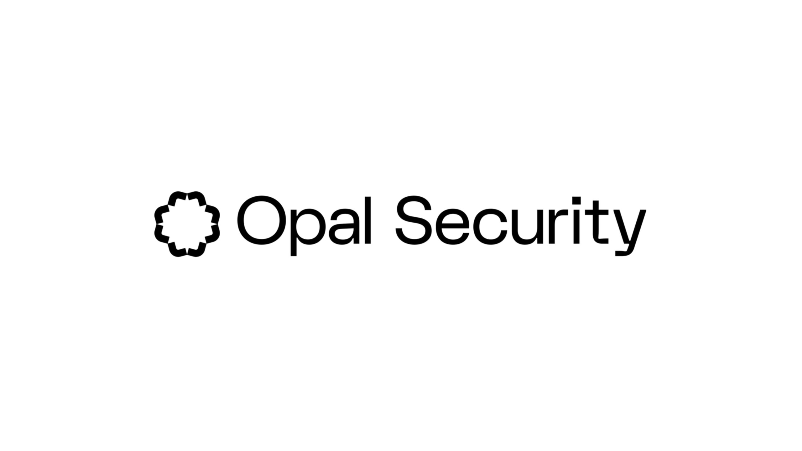 企業のアクセスとID管理を支援するOpal Securityが2,200万ドルを調達