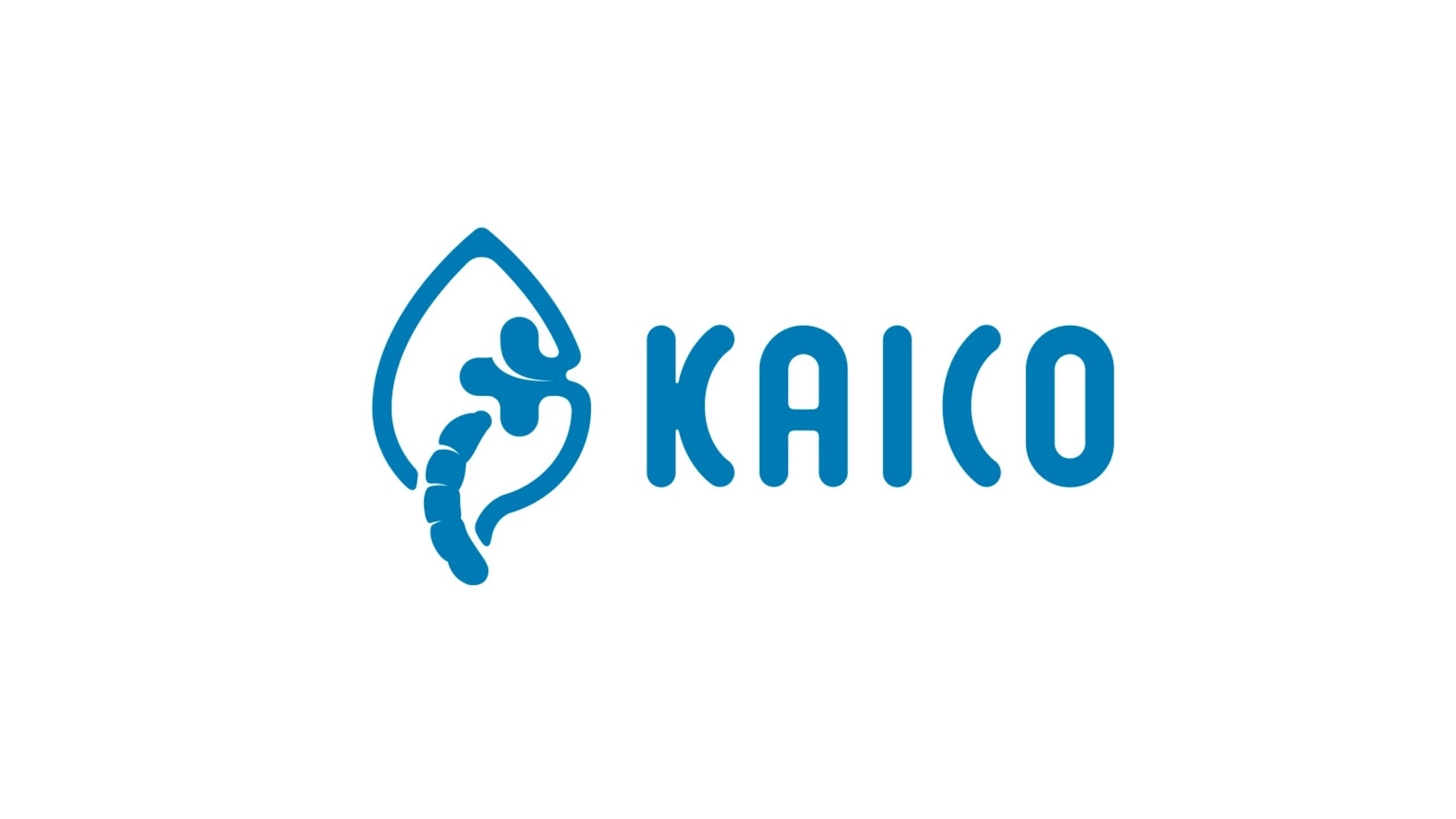 KAICO株式会社、シリーズA追加ラウンドとして新たに2.9億円の資金調達ーシリーズ累計は約8.1億円に