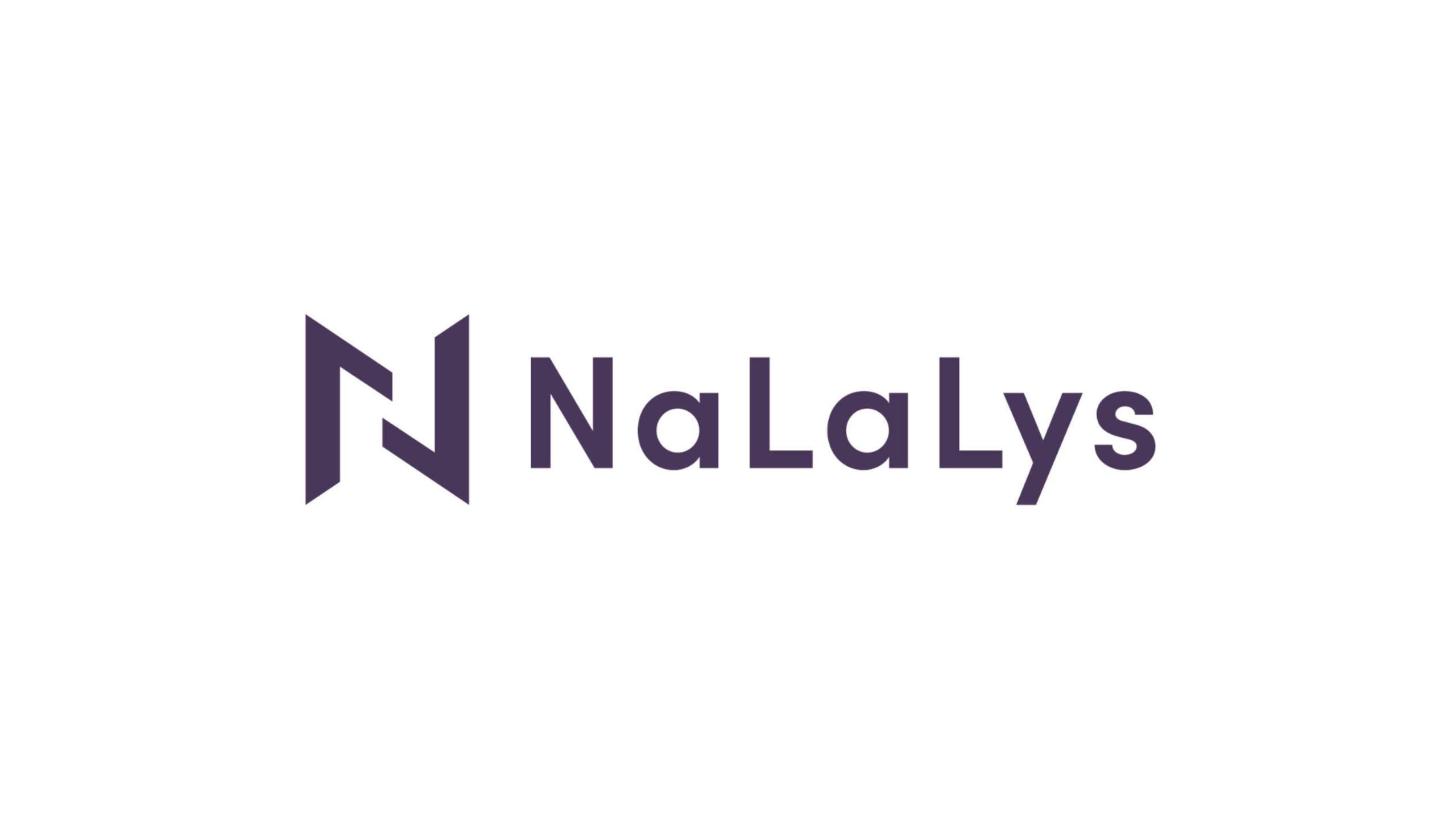 社内不正を検知するシステム「NaLaLys」を開発提供する株式会社NaLaLysが資金調達を実施