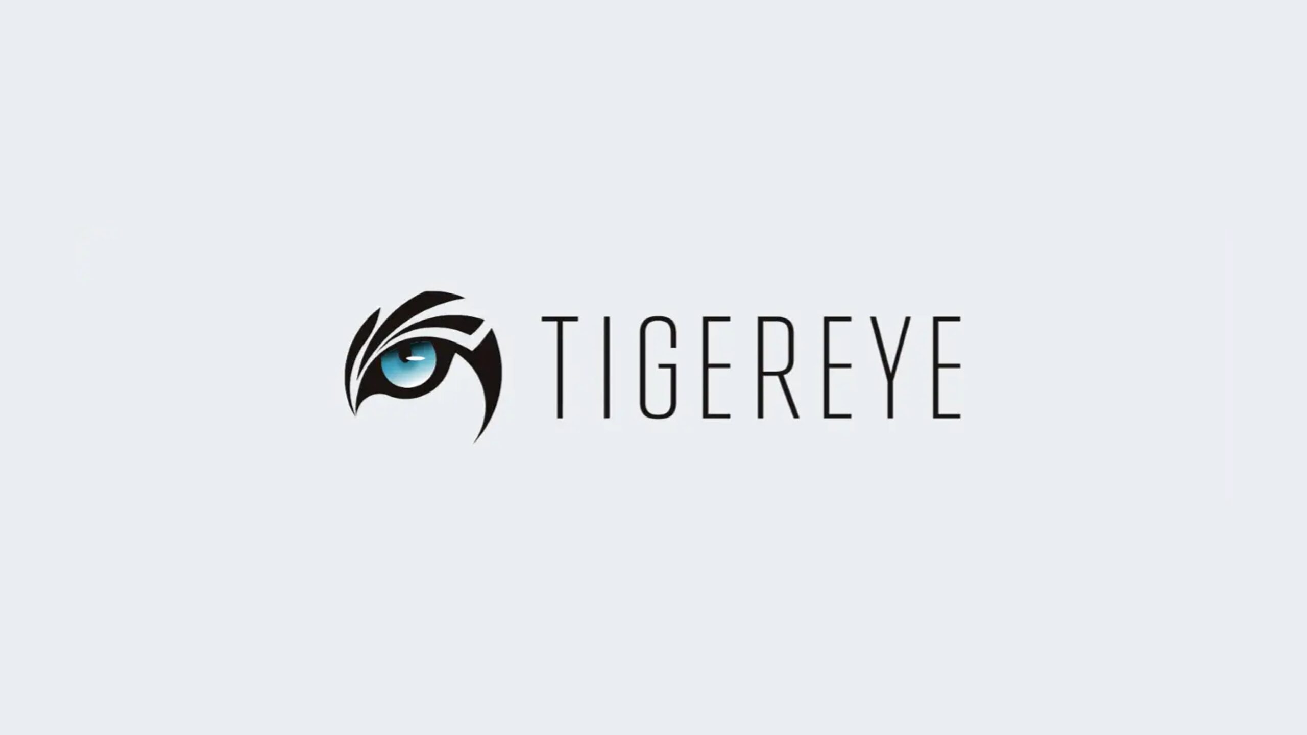 株式会社TIGEREYEが1億325万円の資金調達を実施