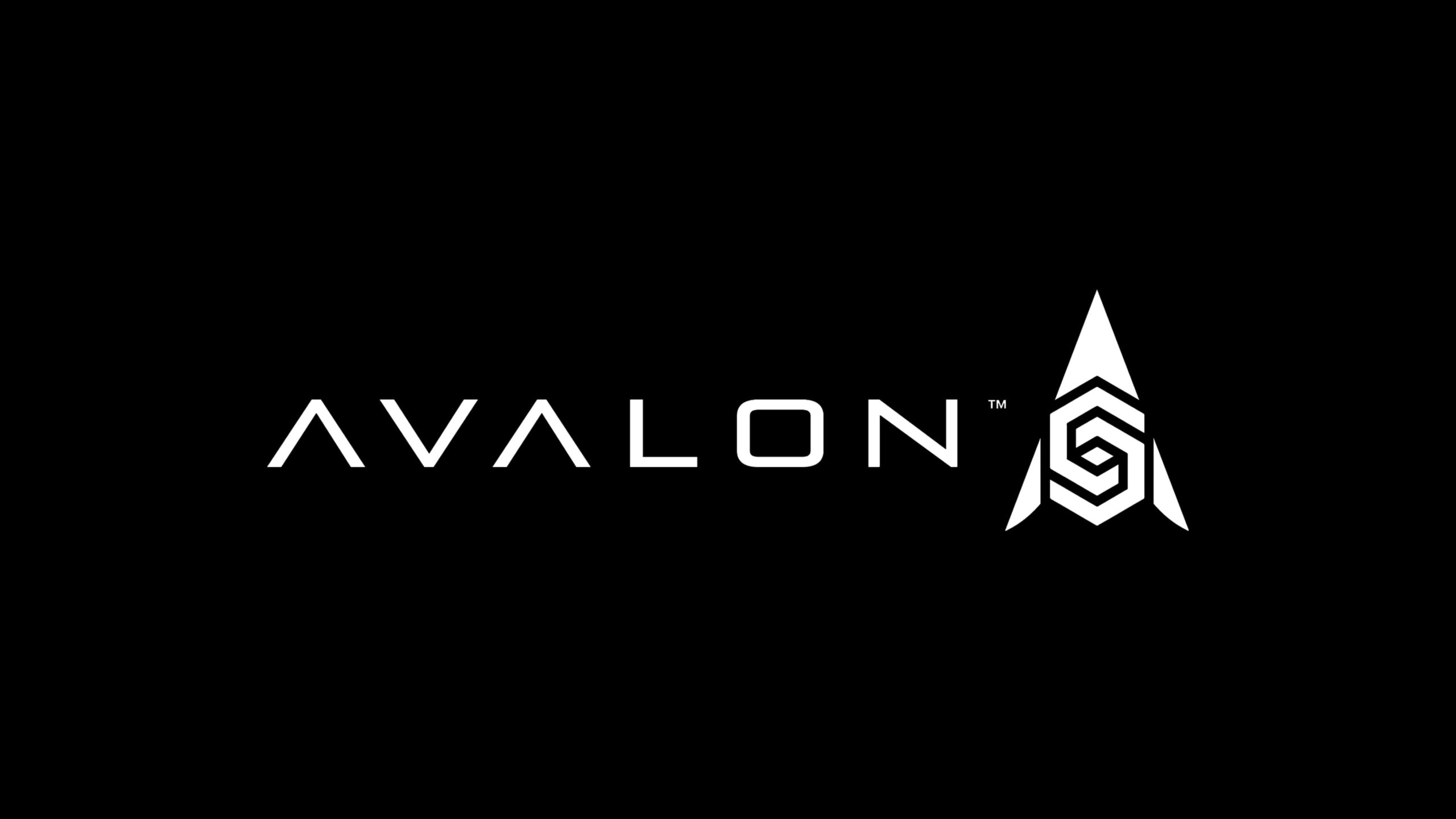 Avalon、ハイブリッドWeb3 MMOを立ち上げるために1,000万ドルを調達