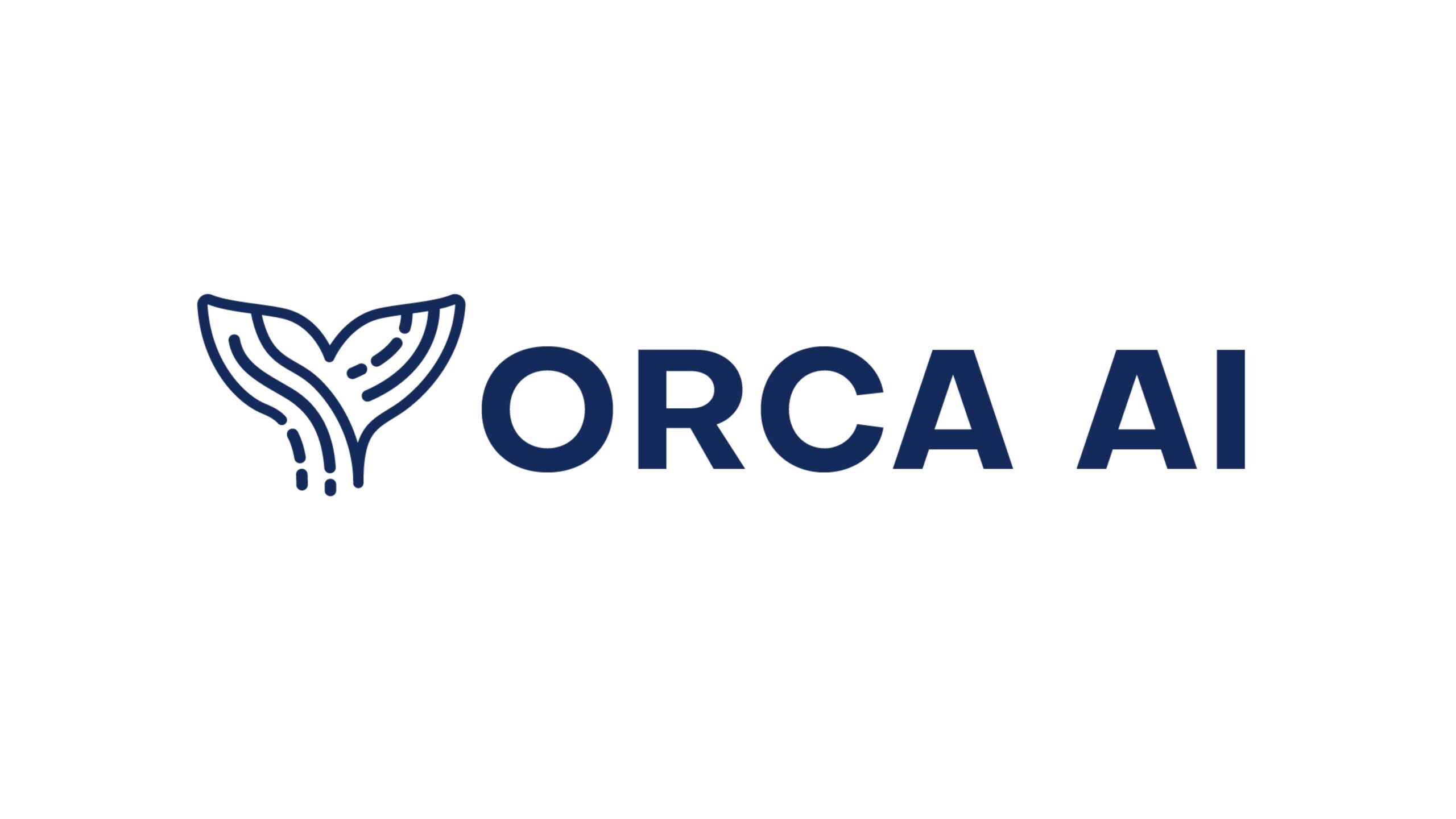 Orca AI、2,300万ドルの資金調達を実施