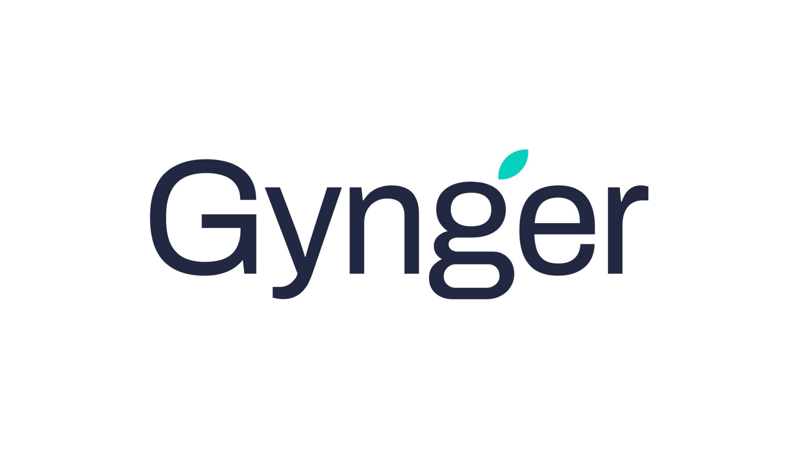 「buy now, pay later」サービスを提供するGynger、シリーズAにて2,000万ドルの資金調達を実施