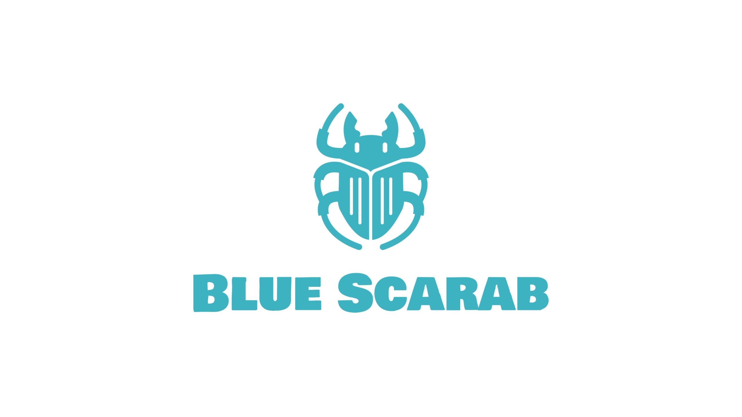 MMORPGを開発中のゲーム会社であるBlue Scarab Entertainment、シードラウンドにて700万ドルの資金調達を実施して設立