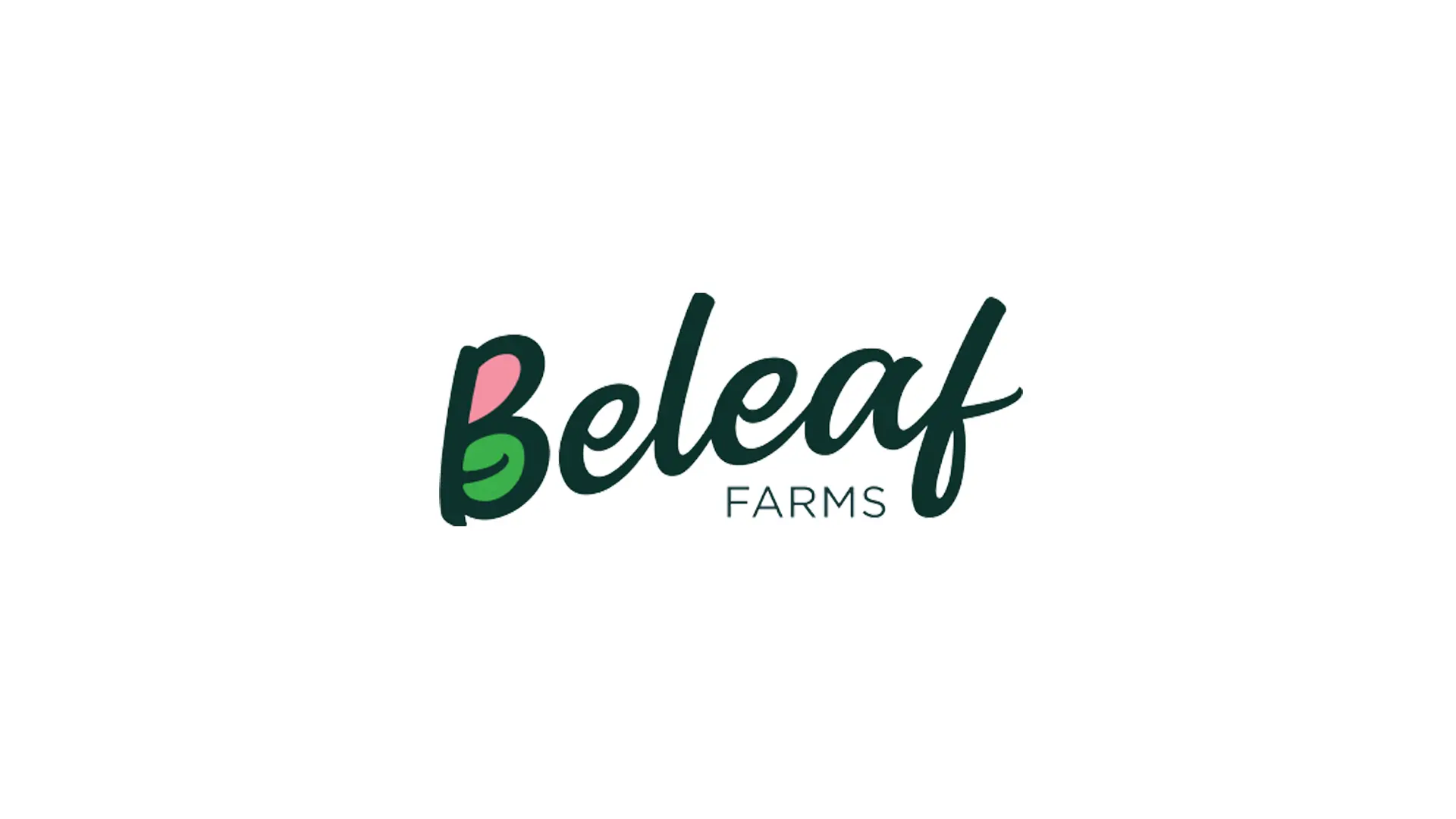 インドネシアでFarming as a Serviceを提供するBeleaf Farms Pte. Ltd.、資金調達を実施