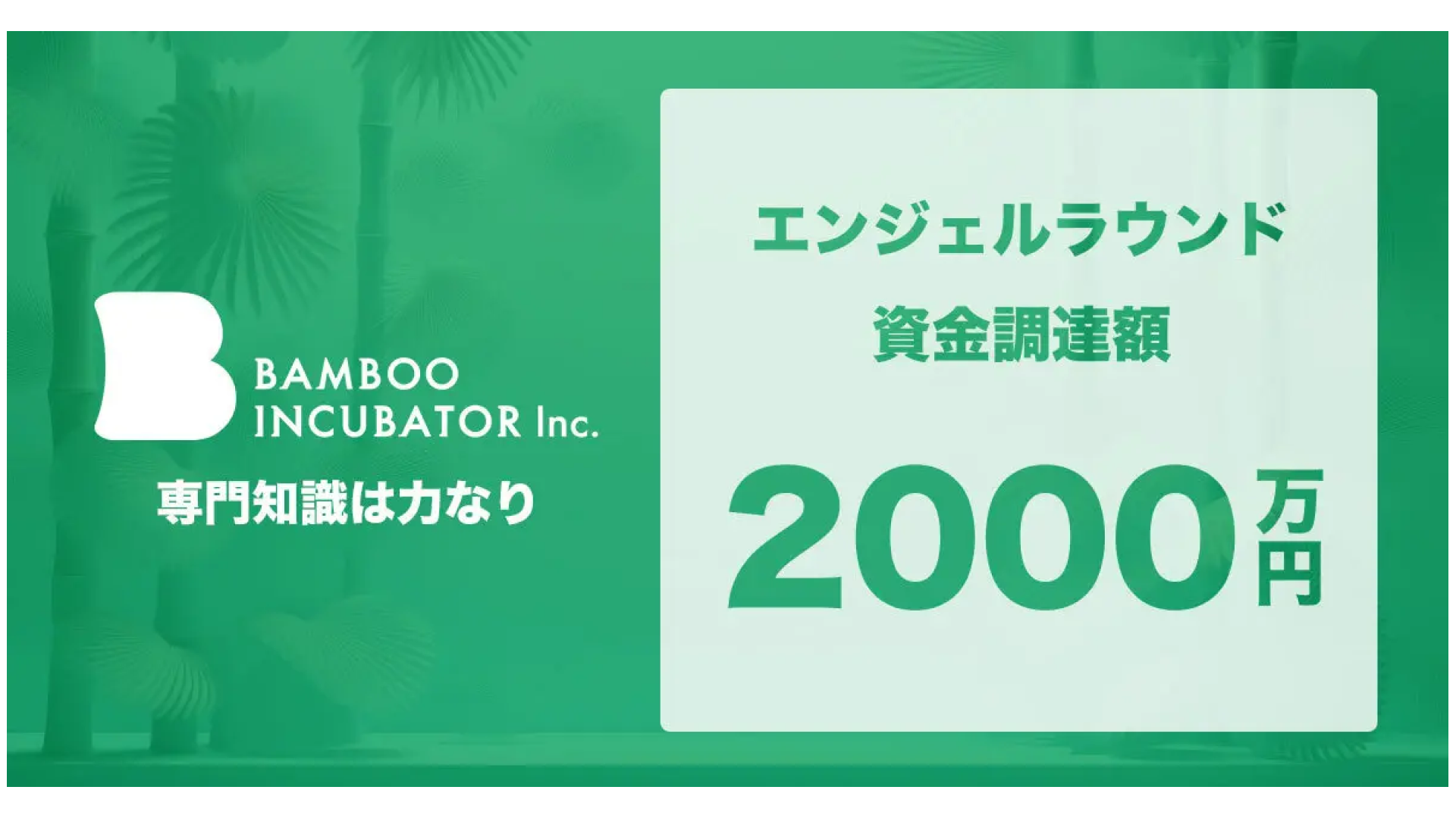 専門家集団株式会社BAMBOO INCUBATORはエンジェルラウンドにて2000万円の資金調達を実施