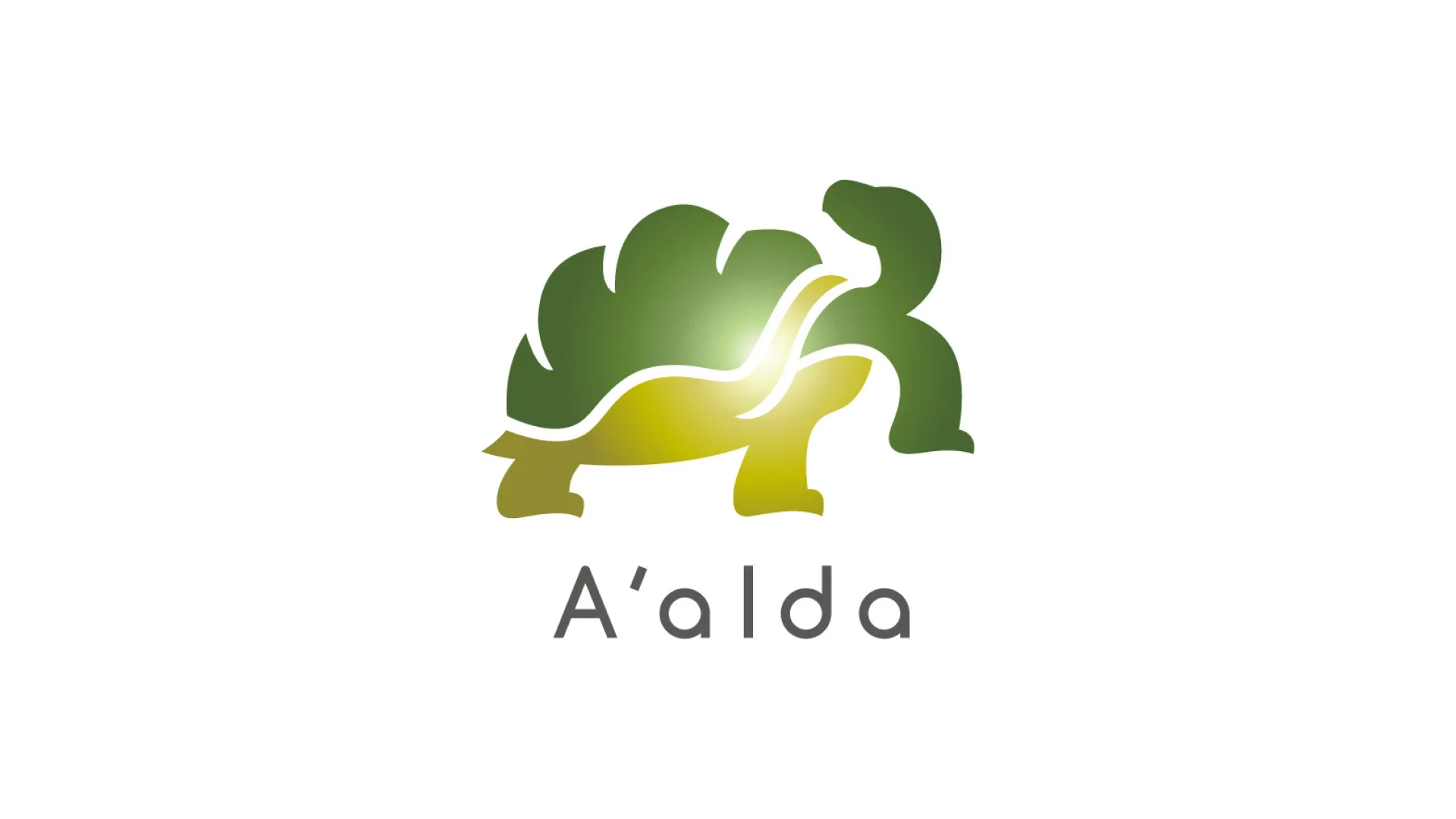 ヘルスケア事業やライフスタイル事業を展開するA’ALDA、資金調達を実施