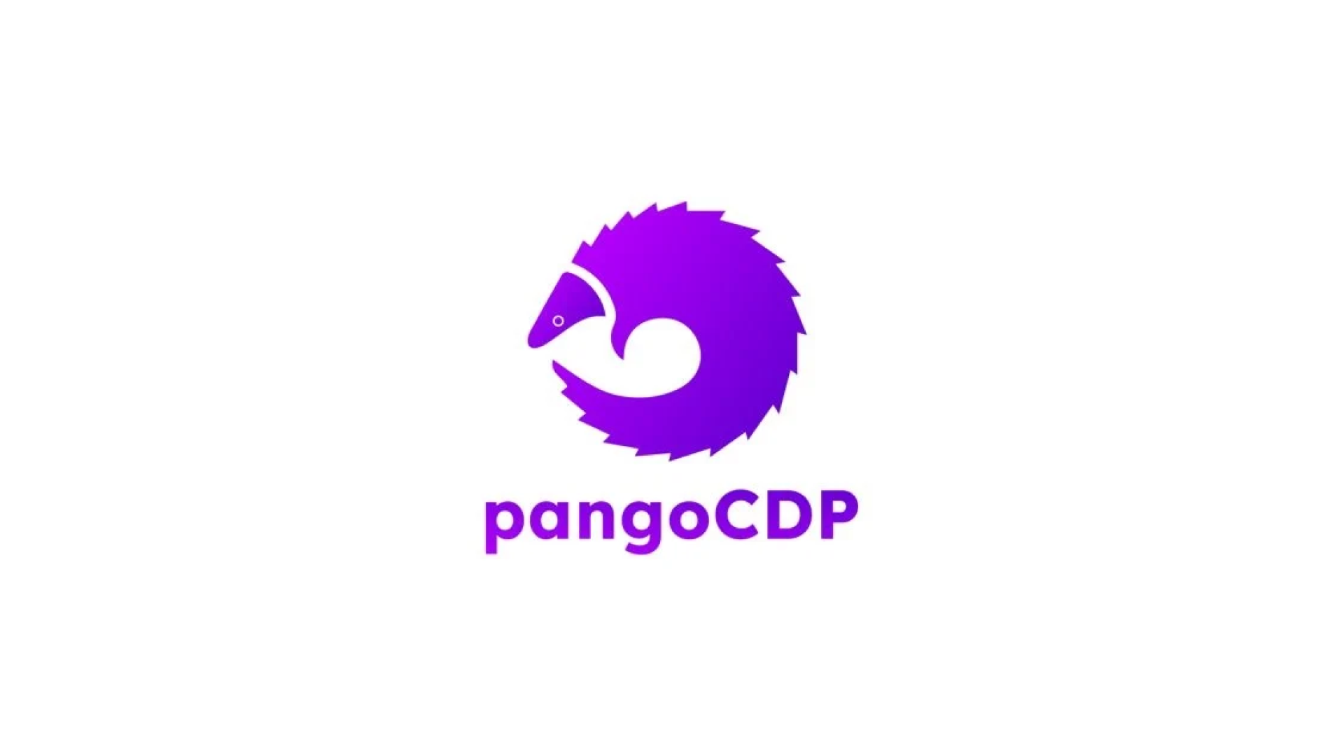 顧客データとソーシャルチャットアプリを統合を専門とするPangoCDP、シードラウンドにて150万ドルの資金調達を実施